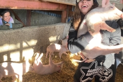 Biofarma Trhové Sviny 10